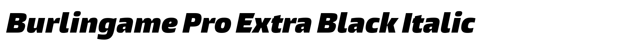 Burlingame Pro Extra Black Italic image